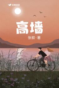 高墙小说张叙笔趣阁全文