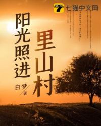 阳光照进森林的图片